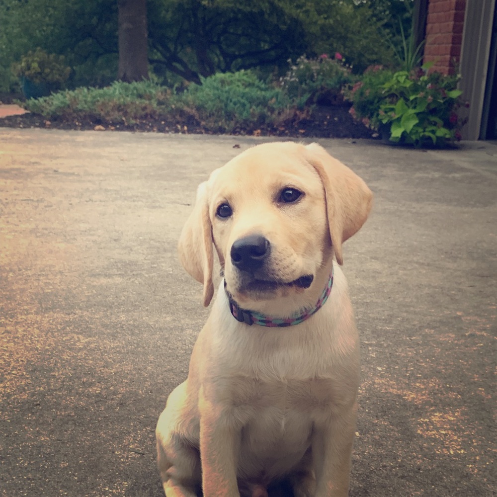 Meet your Posher, Kelly